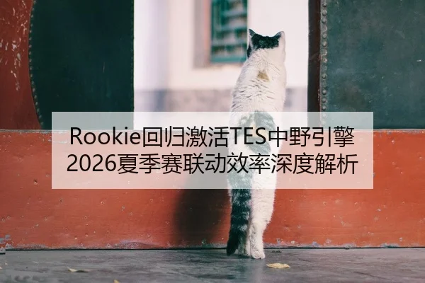 Rookie回归激活TES中野引擎 2026夏季赛联动效率深度解析（yaxin）